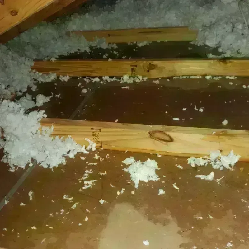 Attic Water Damage in Otterbein, IN