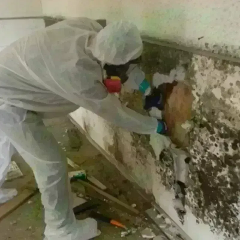 Mold Remediation and Removal in Otterbein, IN