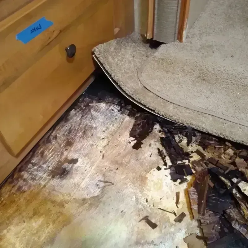 Best Wood Floor Water Damage Service in Otterbein, IN